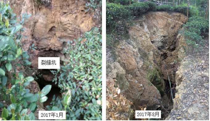 圖3-12  不同時間沉降坑對比照片